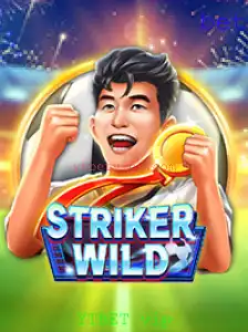 Descubra o Mundo Empolgante de StrikerWILD e a Conexão com YTBET vip